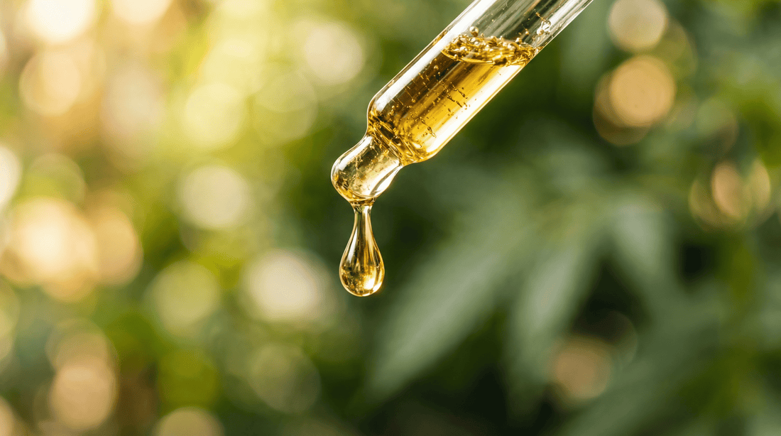 Druhy CBD olejů, jak je dávkovat a k čemu jsou dobré