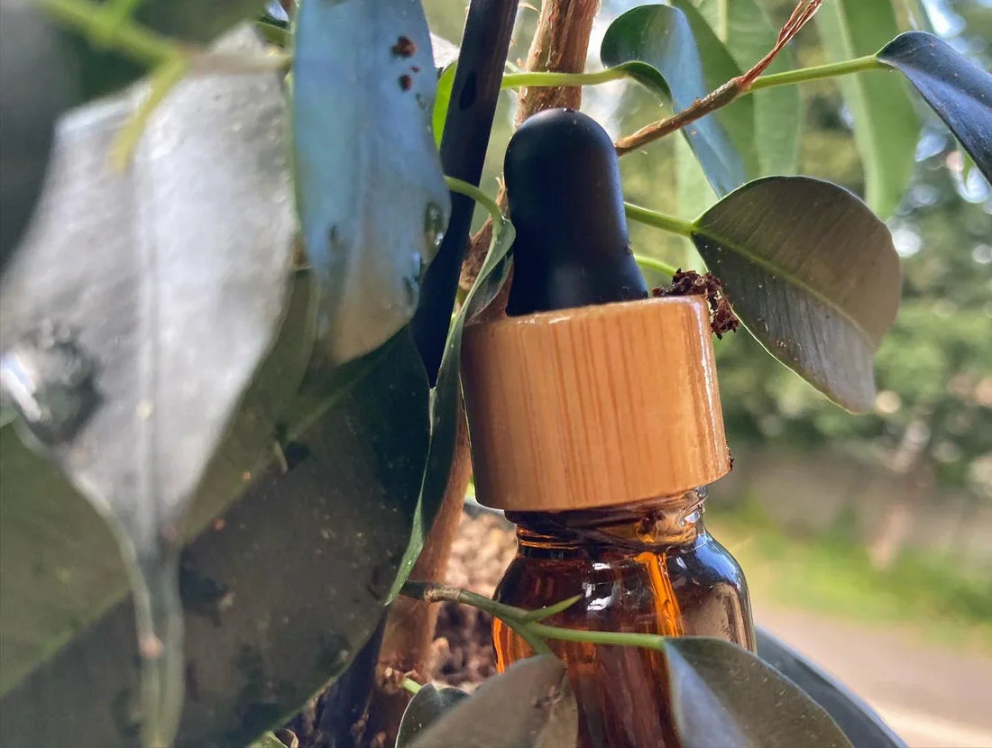 CBD aneb konopí, po němž se nezkouříte