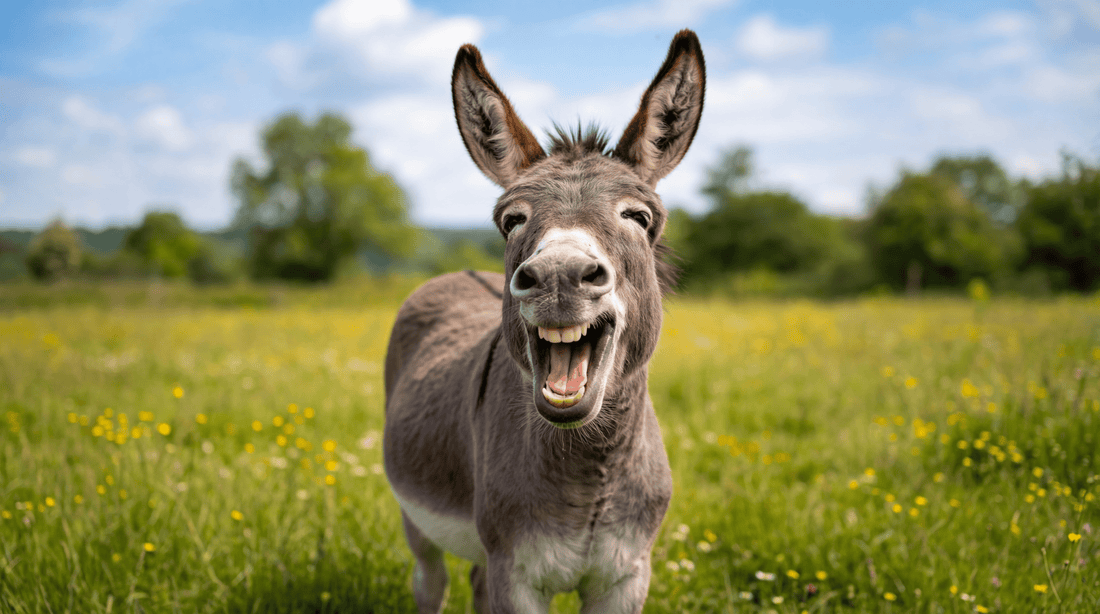 Marihuana: Trocha zelené zábavy