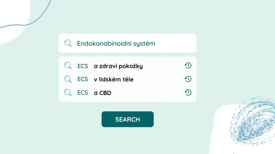 Porozumění Endokanabinoidnímu systému: Jak funguje v našem těle a jak na něj působí CBD a další kanabinoidy