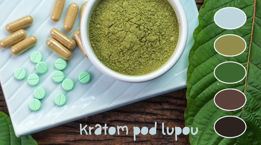 Kratom: Všestranná rostlina s kontroverzní pověstí