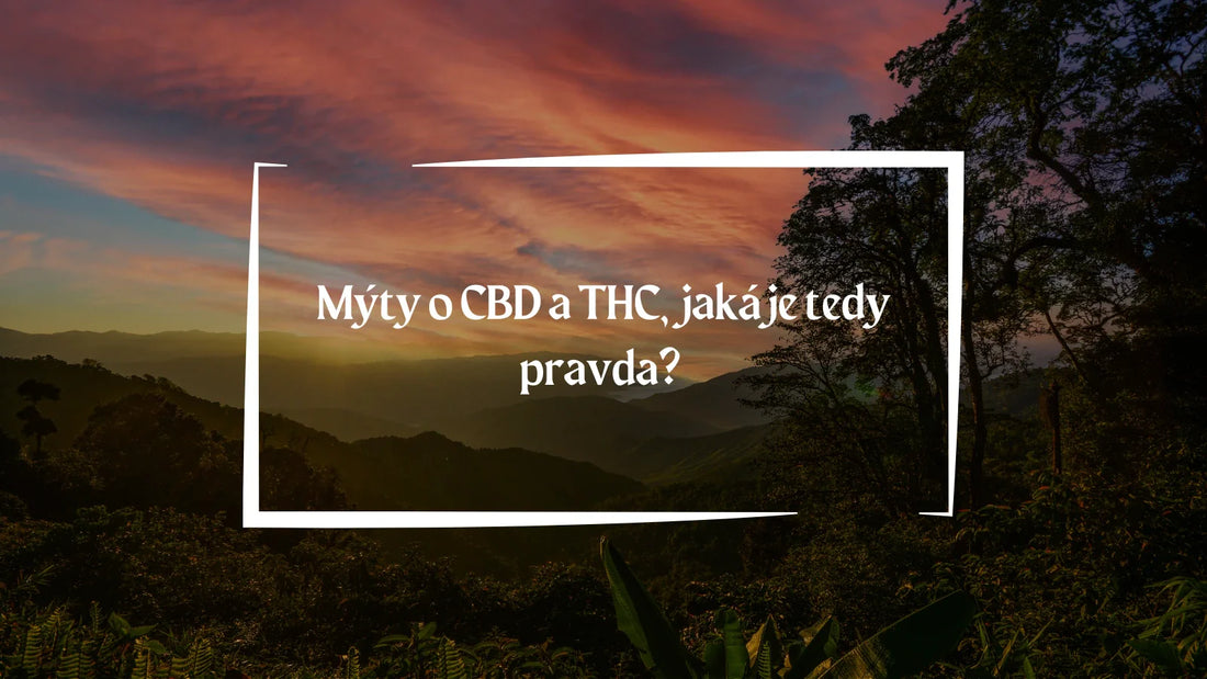 Běžné mýty o CBD a THC: odhalování pravdy