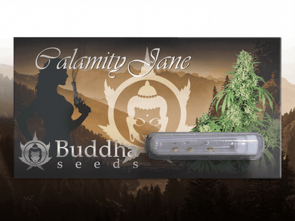 Calamity Jane Auto - Seeds