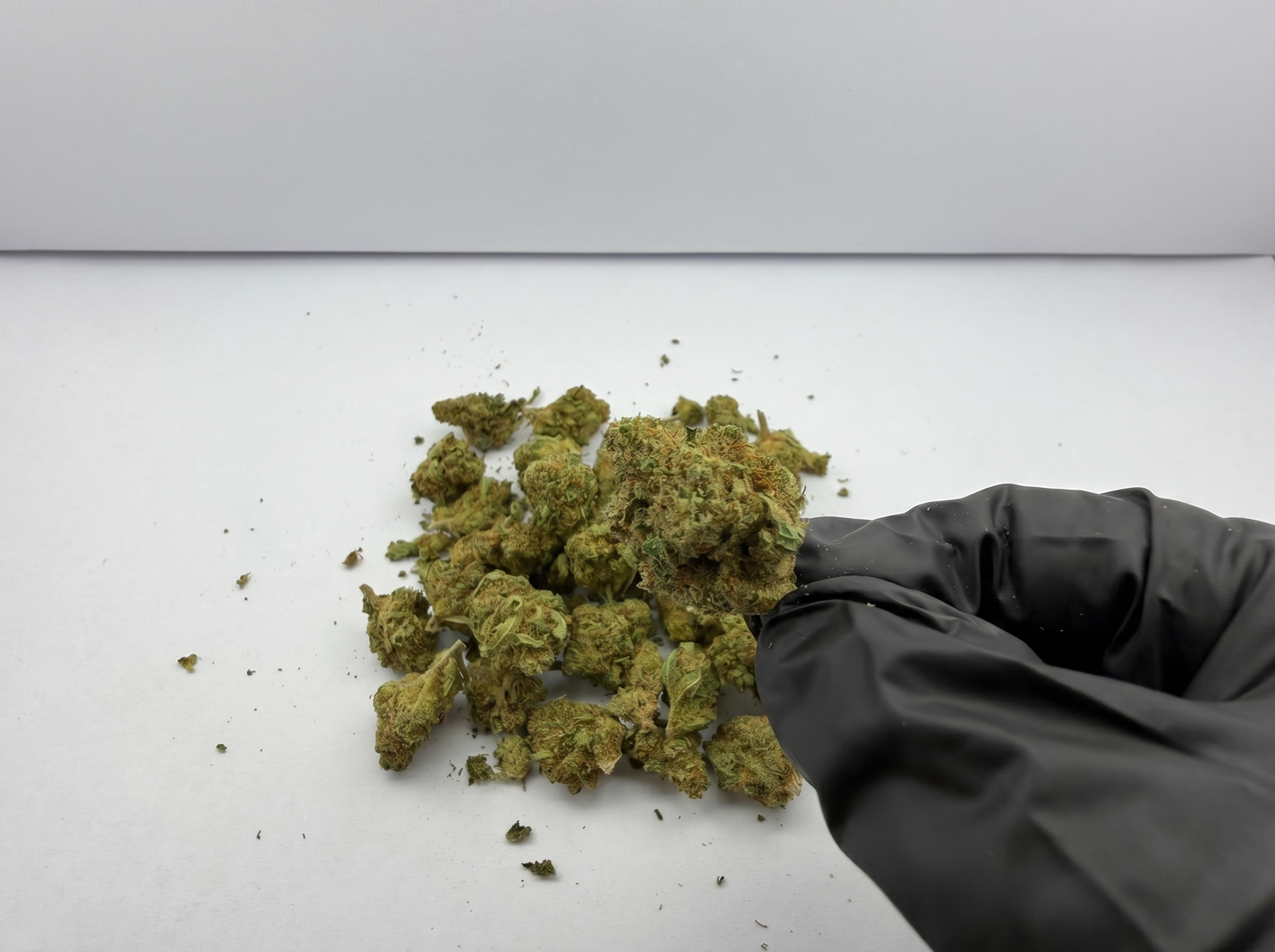 CBD Orangello Small Buds Flowers